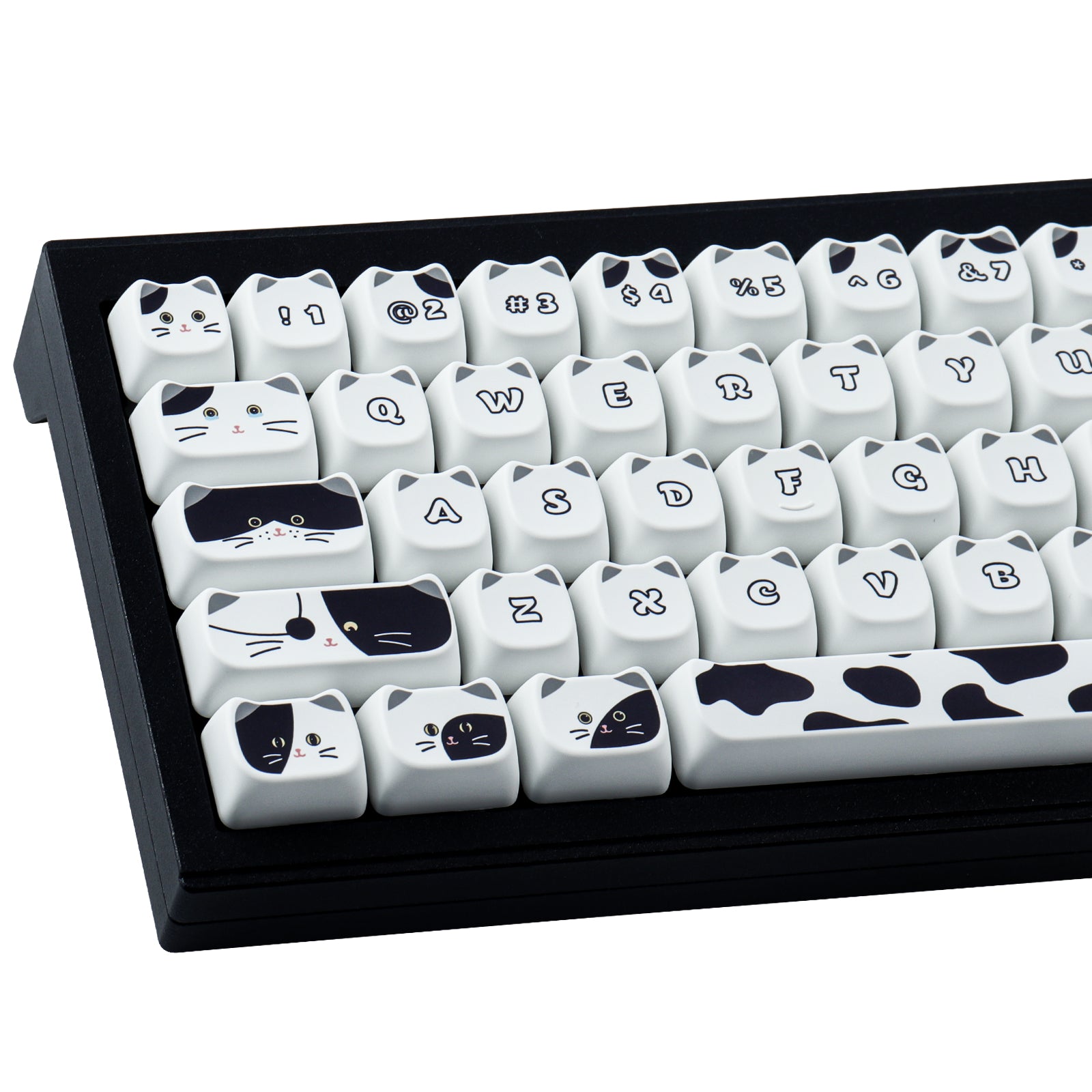 Black White Kitten keycaps - joorkey