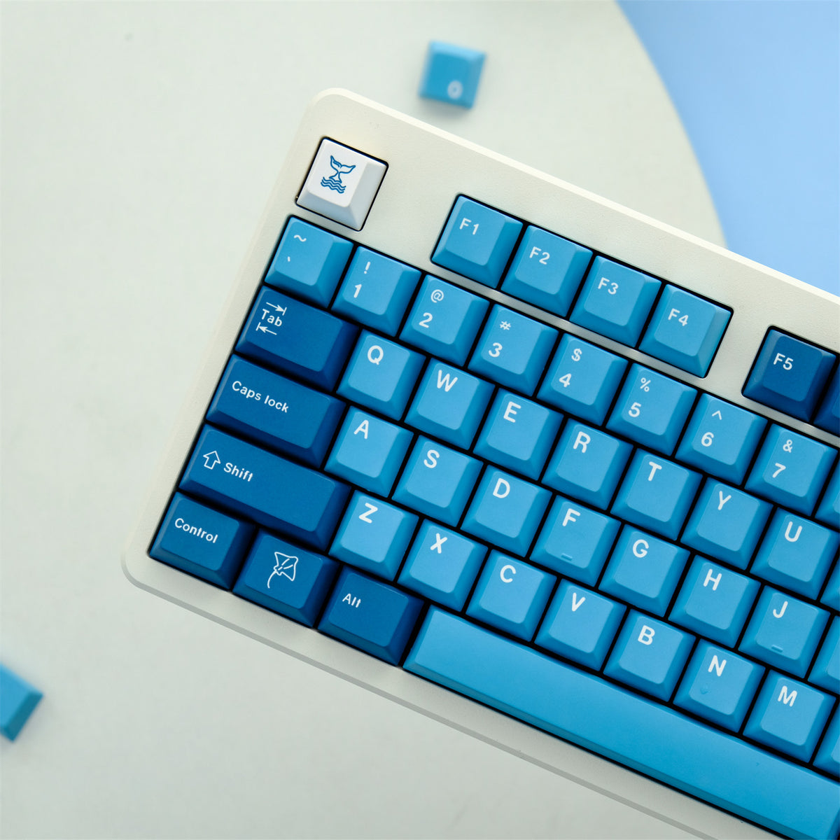 Manta Keycaps