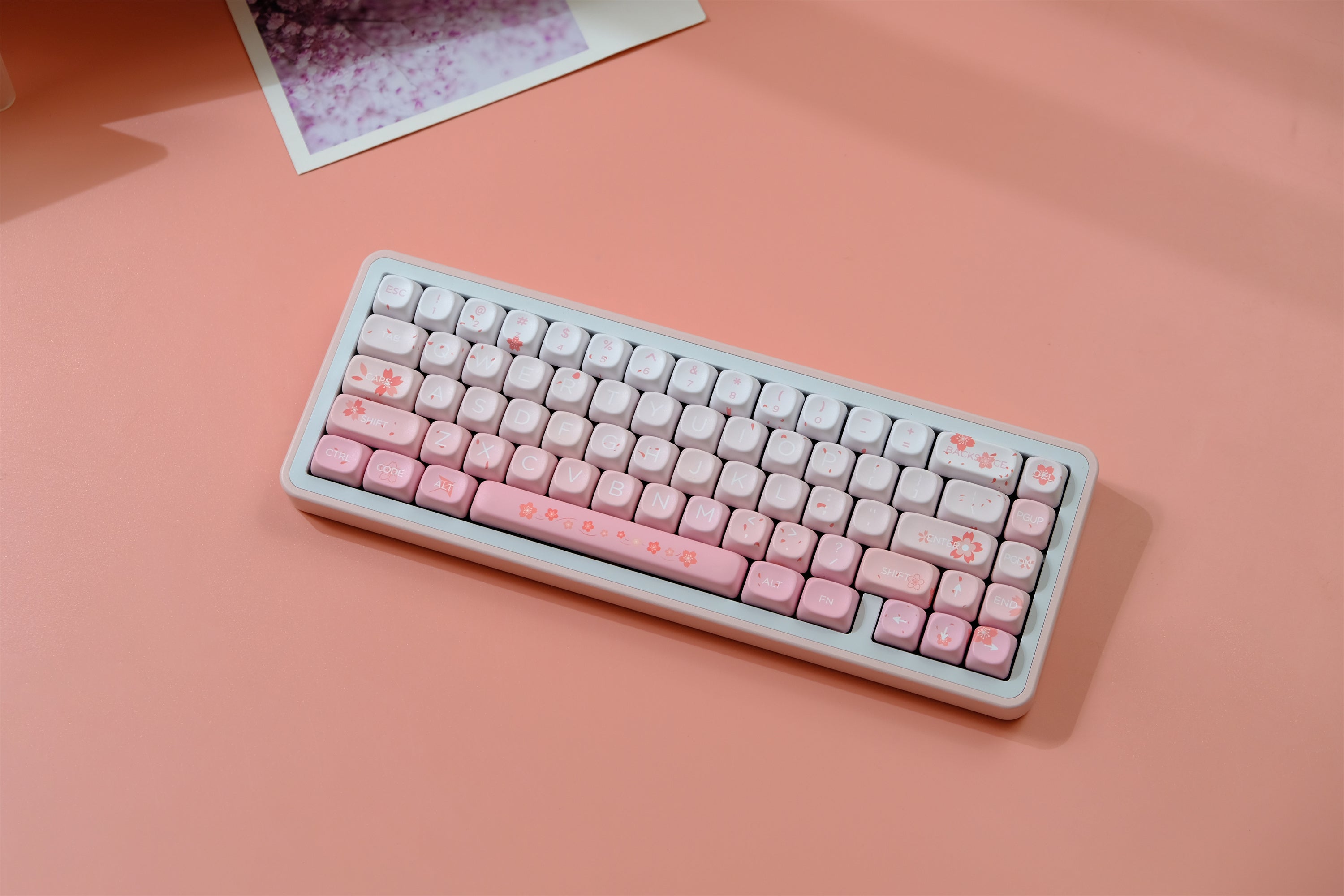 Falling Cherry Blossoms Keycaps