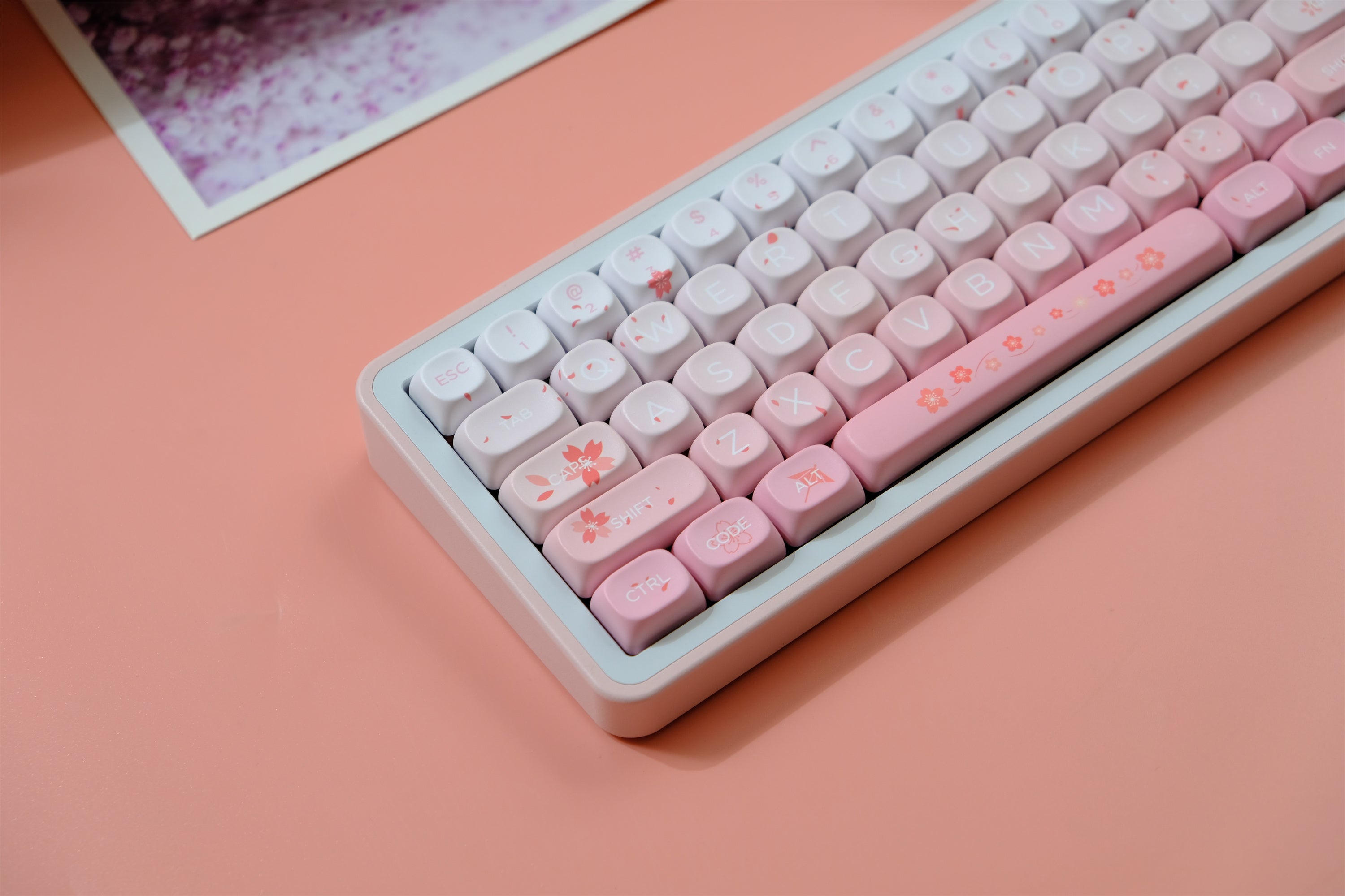 Falling Cherry Blossoms Keycaps