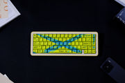 Against invalid Yellow Blue keycaps