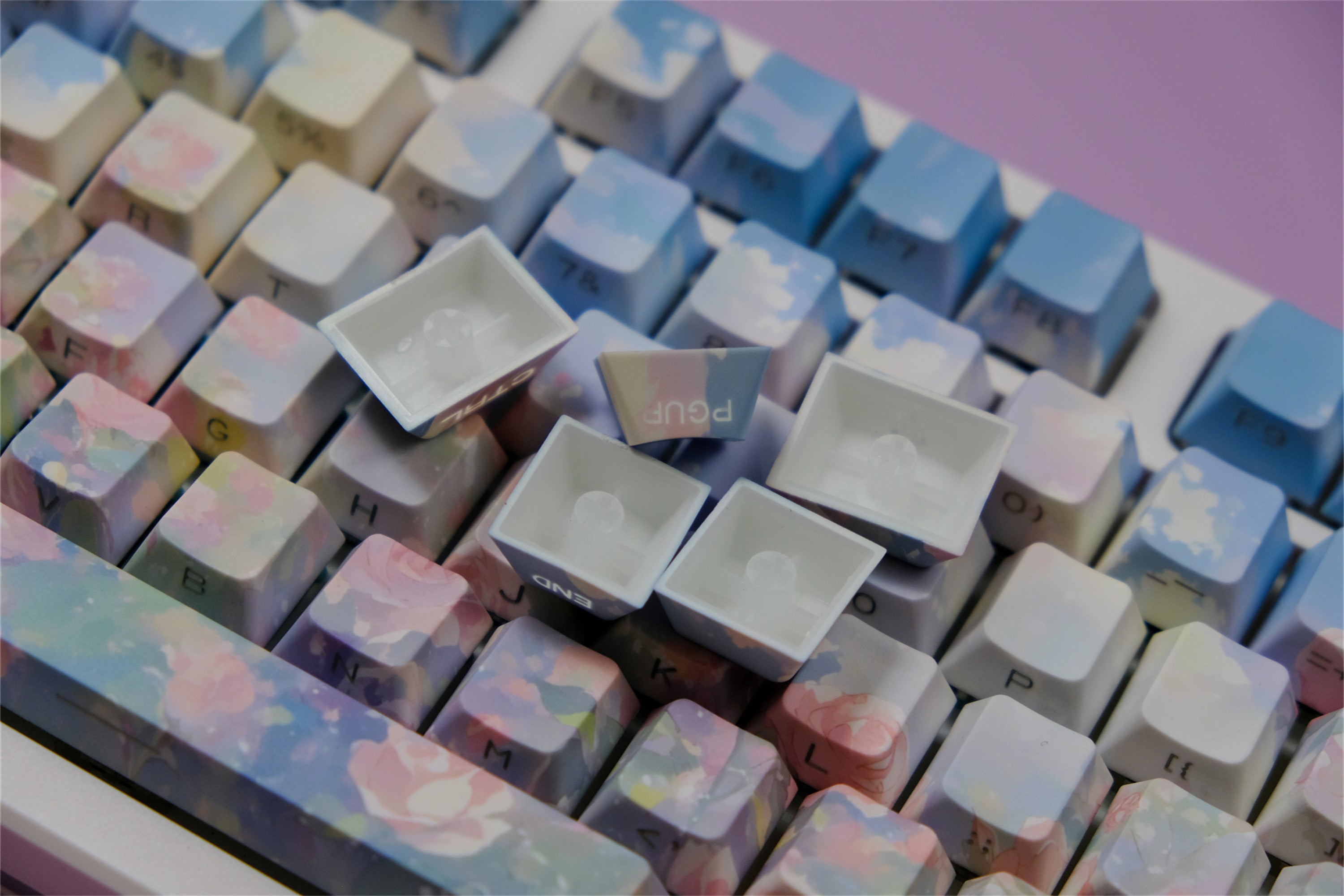 Rose Garden Side Backlight Keycaps