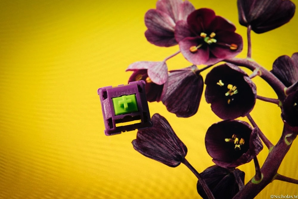 Lumia Switch